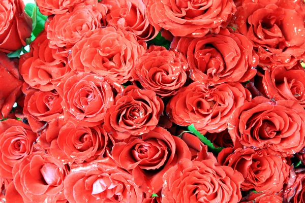 stock image Bouquet of Roses