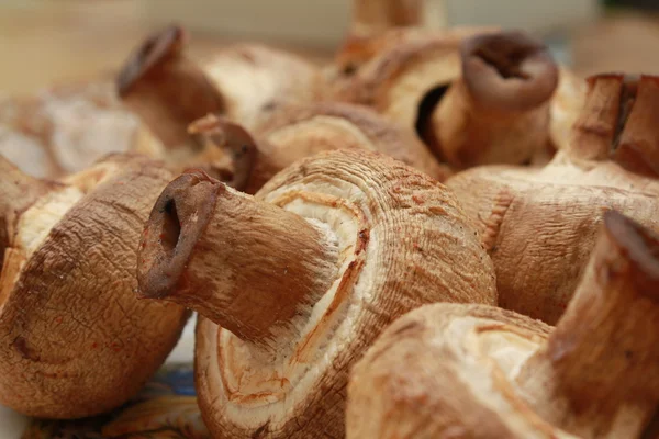 stock image Mushrooms, fried on a brazier