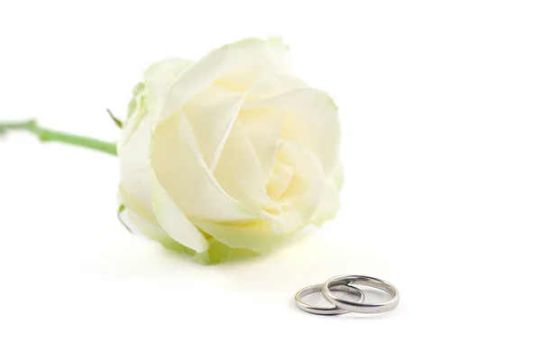 stock image Wedding rings and a rose