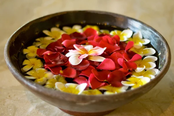 stock image Flower petals in a bowl at a spa