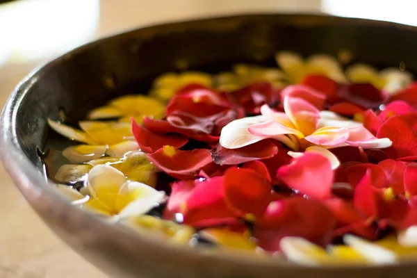 stock image Flower petals in a bowl at a spa