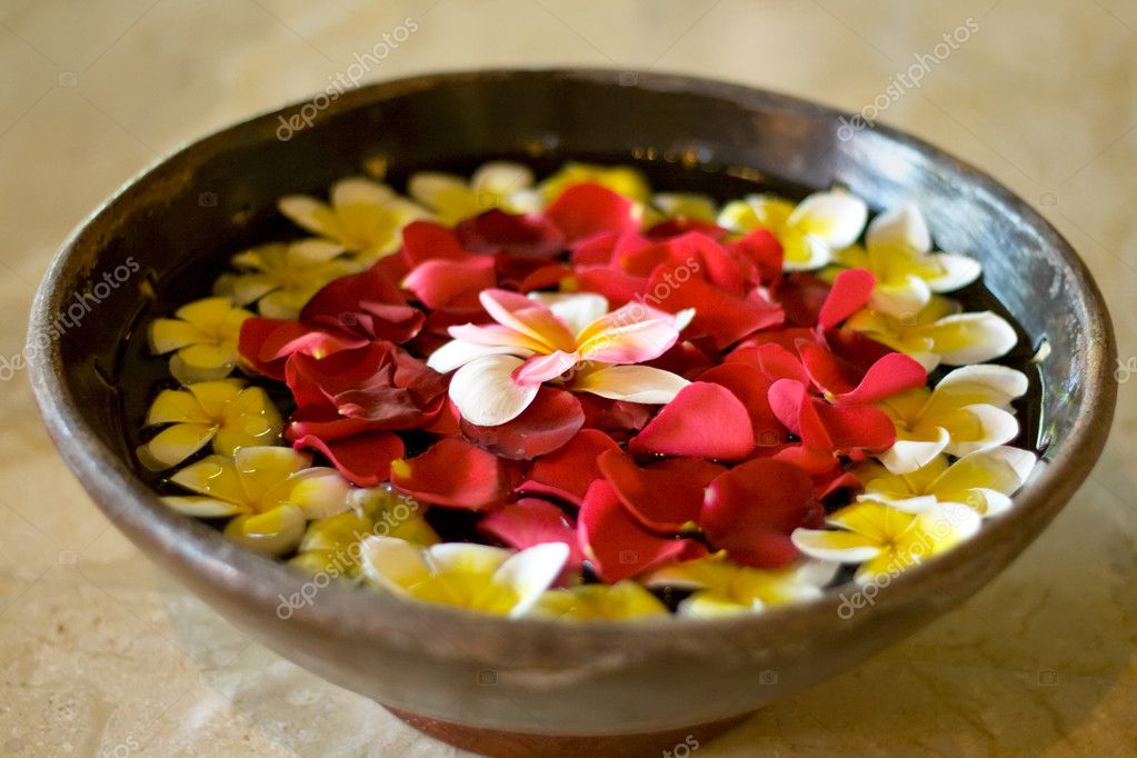 Flower petals in a bowl at a spa — Stock Photo © noblige 1136379