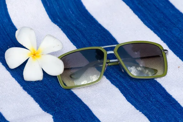 Fleur tropicale et lunettes de soleil Photos De Stock Libres De Droits