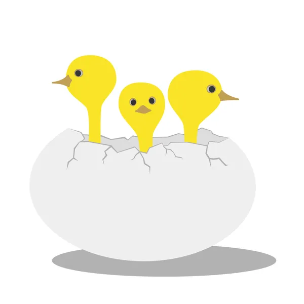 赤ちゃん鳥 — ストックベクタ