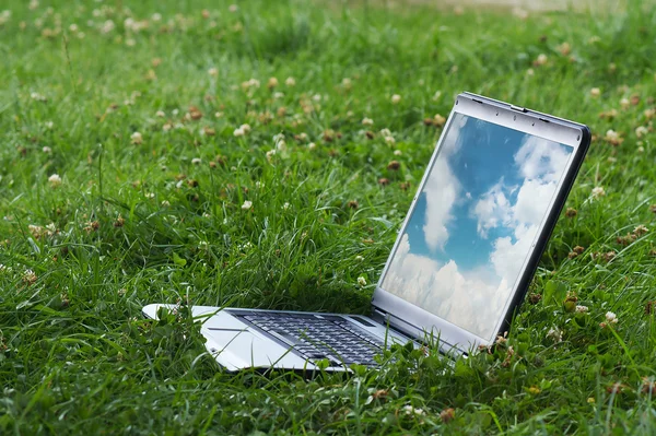 stock image Laptop