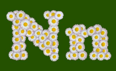 Alphabetical letter made of flowers