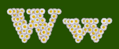 Alphabetical letter made of flowers