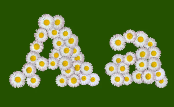 Alfabetisk bokstav tillverkad av blommor — Stockfoto