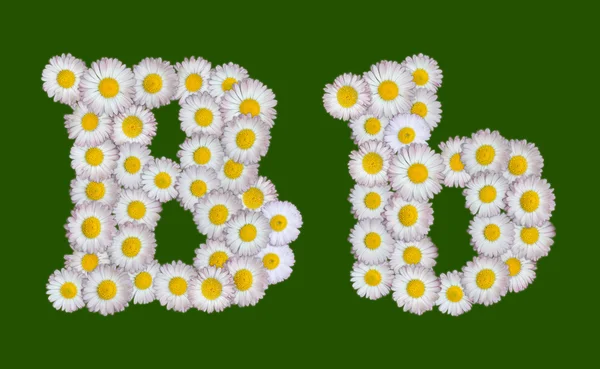 Alphabetical letter made of flowers — Stock Photo, Image
