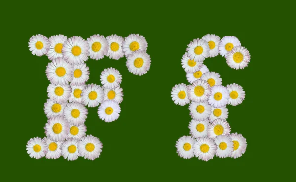 Alfabetisk bokstav laget av blomster – stockfoto
