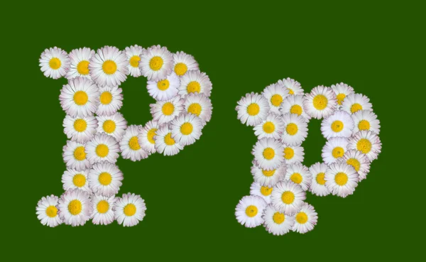Letra alfabética feita de flores — Fotografia de Stock