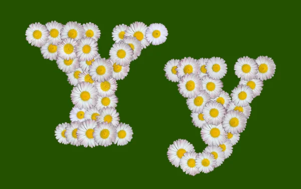 按字母顺序排列的字母作的鲜花 — 图库照片