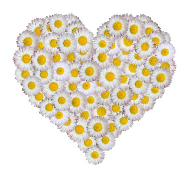 Heart made of flowers clipart