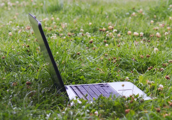 stock image Laptope