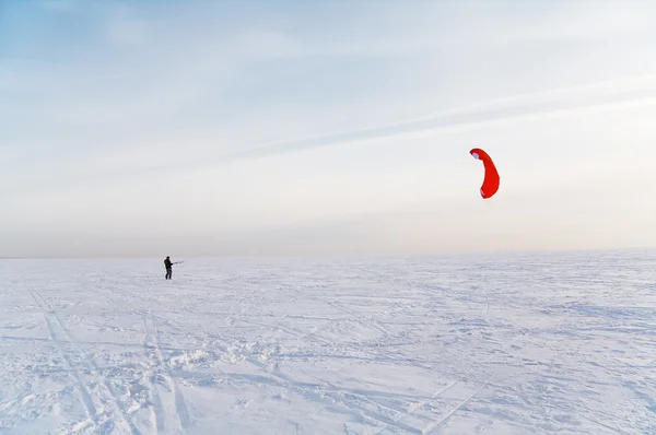 stock image Kiter catching the wind