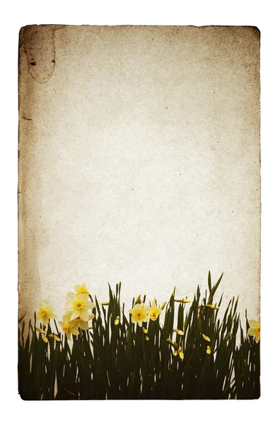 Ilustração de flores no velho grunge backg — Fotografia de Stock