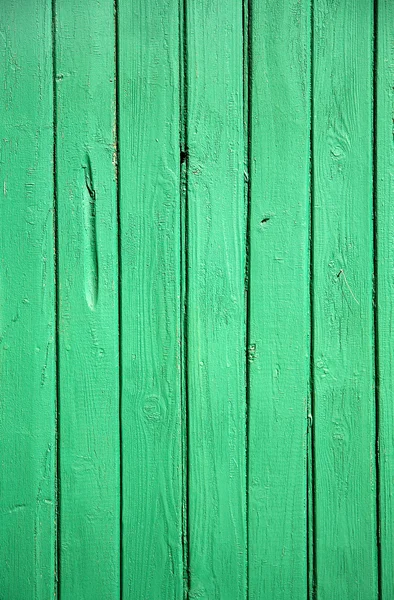 Grün gestrichene Wand — Stockfoto