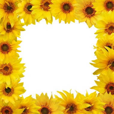 Floral frame clipart