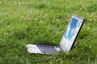 çimenlerin üzerinde laptope