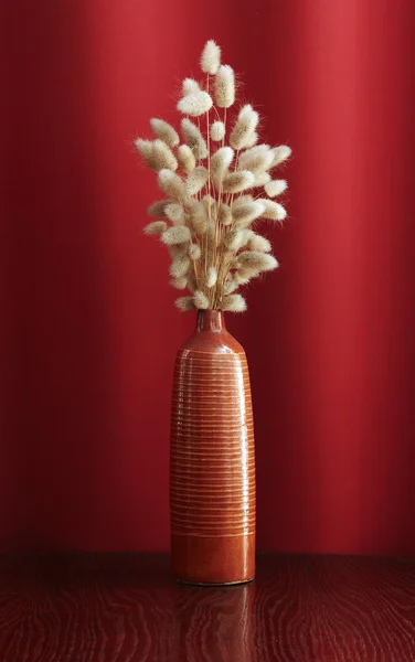 Ikebana — Stock Photo, Image