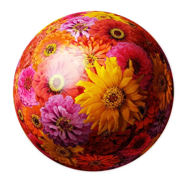 stock image Sphere from zinnia elegans flowers