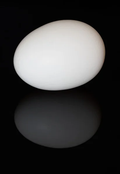 stock image Egg