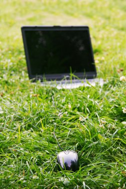 fare ve laptope çimenlerin üzerinde