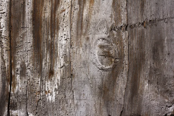 Дерев'яний фон — Безкоштовне стокове фото