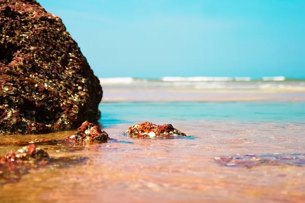 stock image Beautiful ocean shore. Transparent water