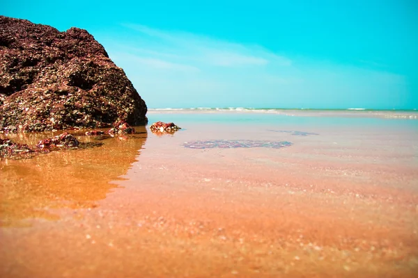 stock image Beautiful ocean shore