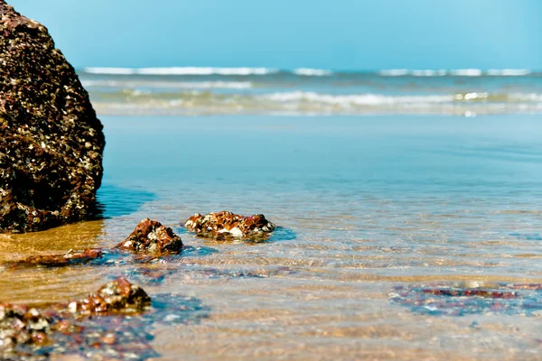 Die Strandlandschaft. — Stockfoto