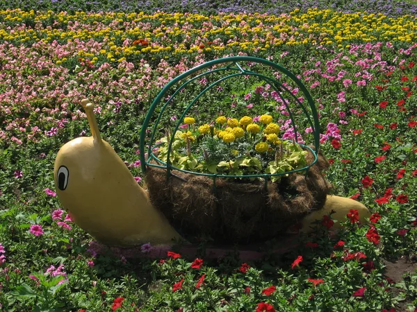 Schnecke mit Blumen — Stockfoto