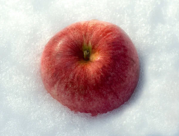 Apple on the snow — Stock Photo, Image