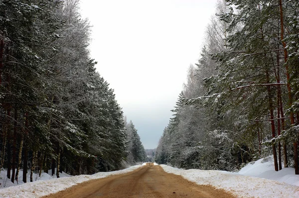 stock image Winter road.