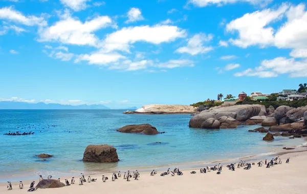 Pingwiny głazy na plaży. Republika Południowej Afryki Zdjęcie Stockowe
