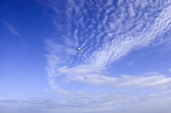 De blauwe lucht met wolken — Stockfoto