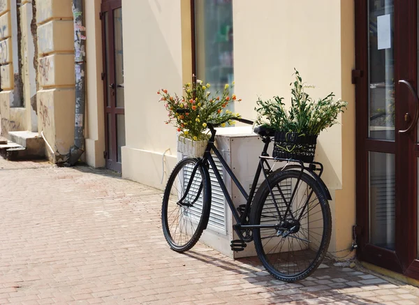 Vélo avec paniers de fleurs — Photo
