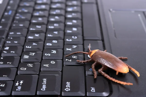 Computer bug — Stockfoto