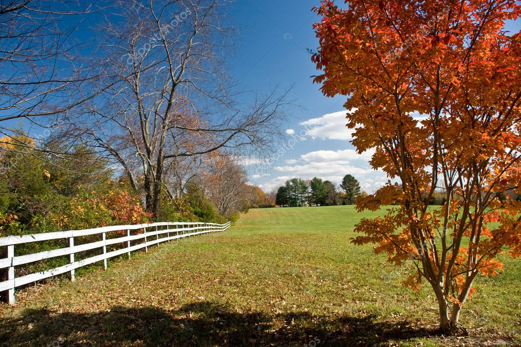 Autumn Landscape with a typical American — Stock Photo © Irin717 #1160337