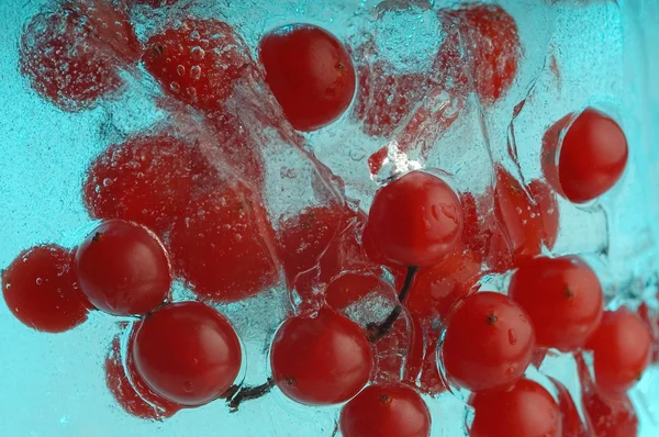 Cranberry in ice — Stock Photo, Image