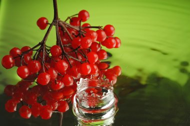 Cranberry and water clipart