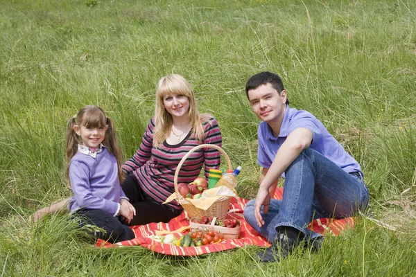Rodina s piknik v přírodě — Stock fotografie