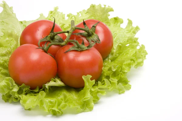 Groep rode tomaten op blad Sla. — Stockfoto