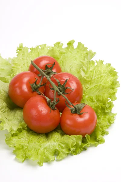 Ramo de tomate cereja em alface foliar . — Fotografia de Stock