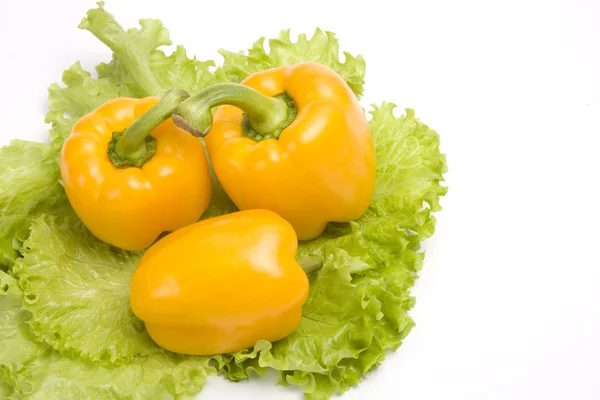 Sweet peppers on leaf lettuce. — Stock Photo, Image