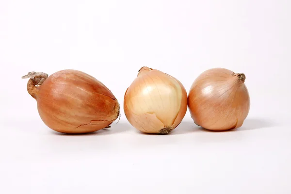 Zwiebeln auf weißem Hintergrund. — Stockfoto
