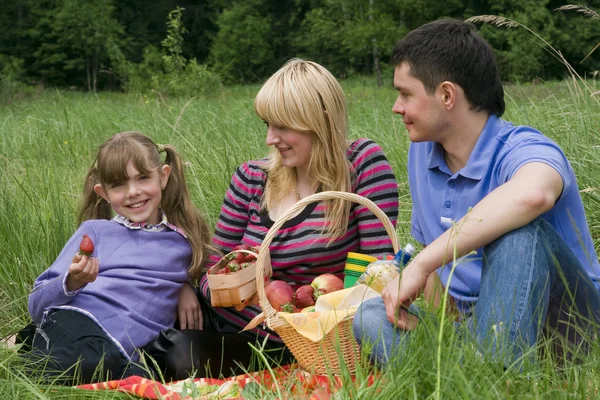 家庭有在公园野餐 免版税图库照片