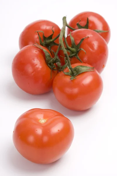 西红柿 免版税图库图片
