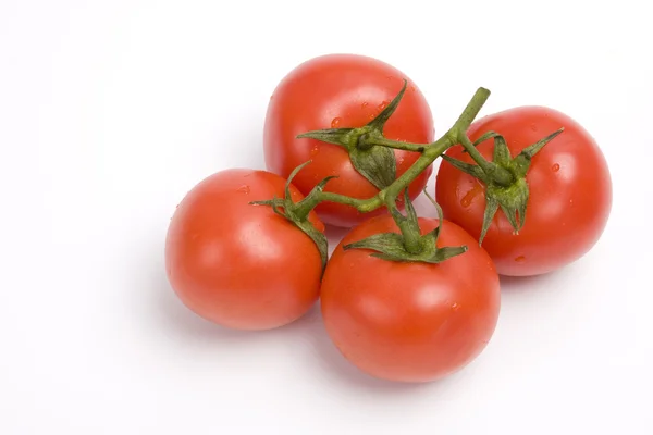 Tomate Photo De Stock