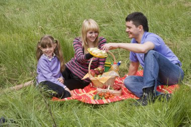 Family having picnic in park clipart